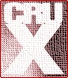 CRUX logo